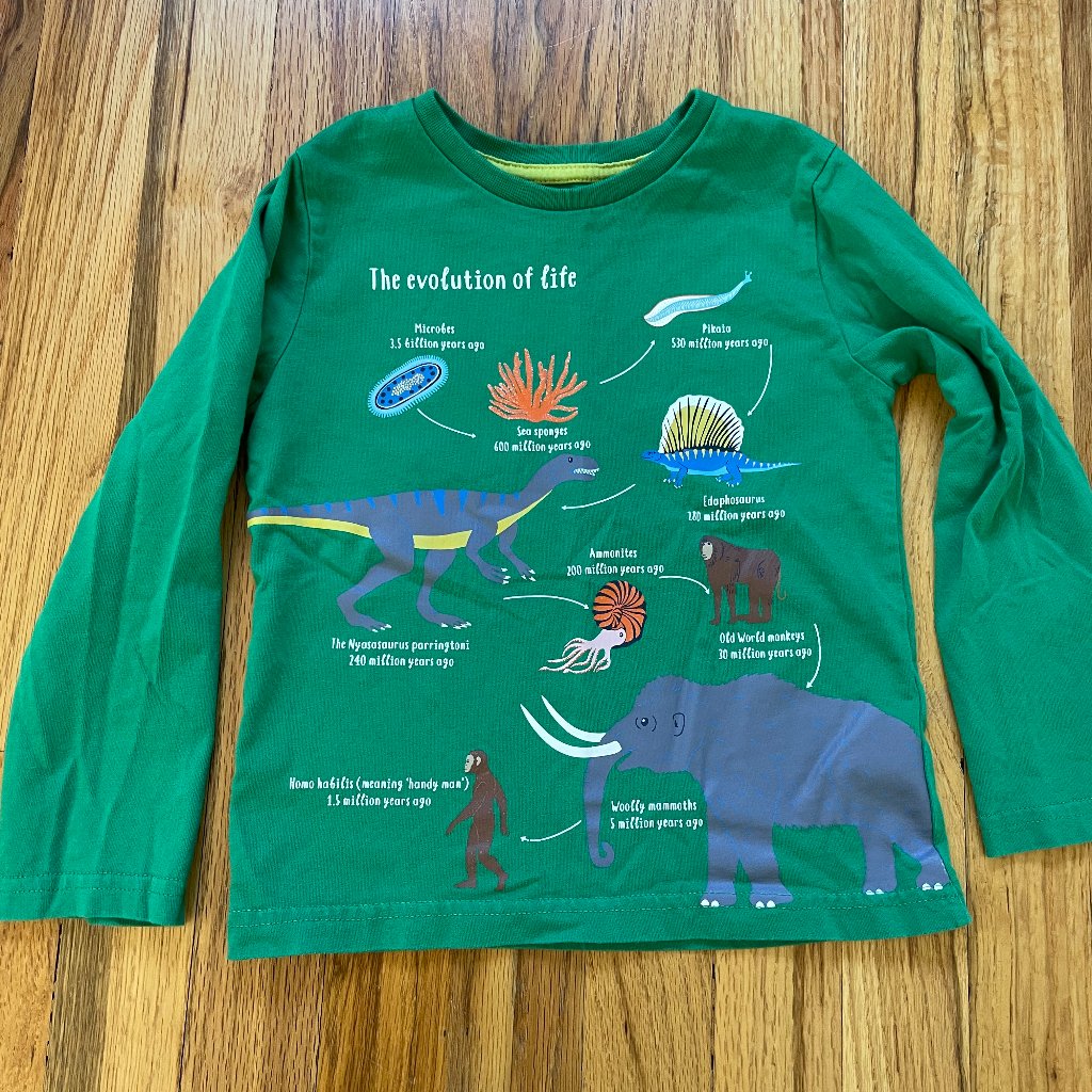 Mini Boden Evolution Tee